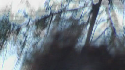 ZEBRA LONGSLEEVE BLUE